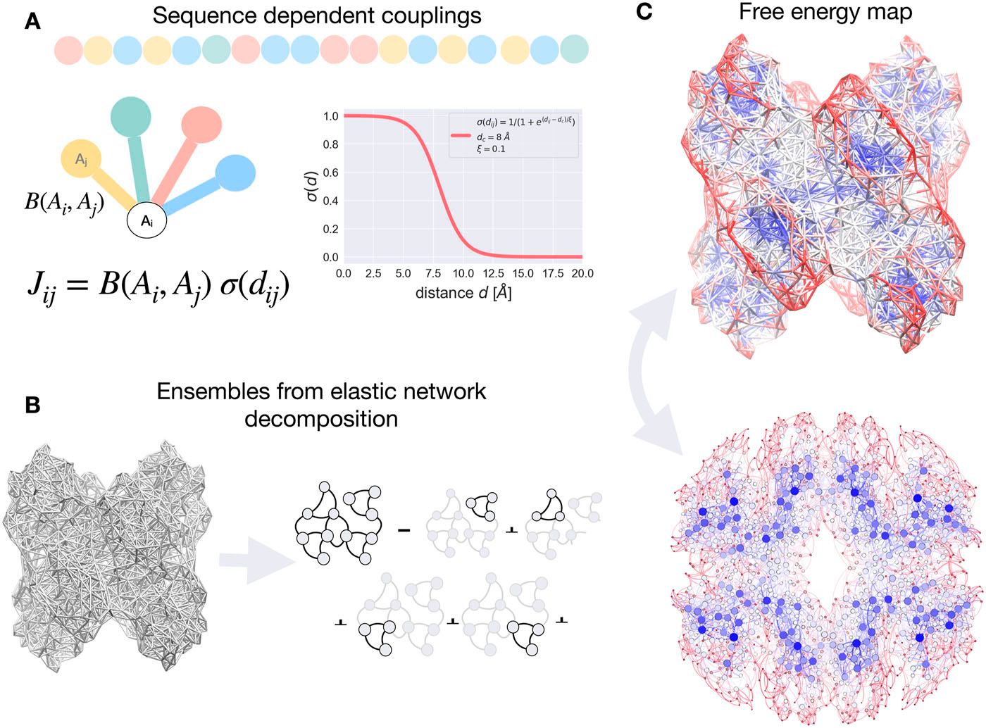 The network-based sequence-dependent model of allostery showing protein structure representation and amino acid interaction networks